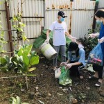 Giải thưởng thanh niên Thế Hệ Xanh hành động vì Không khí sạch 2021