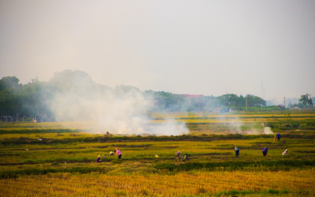 Nghiên cứu “Hiện trạng bụi PM2.5 ở Việt Nam giai đoạn 2019 – 2020 sử dụng dữ liệu đa nguồn”