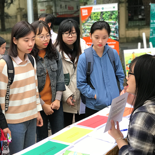 Hoạt động dự án