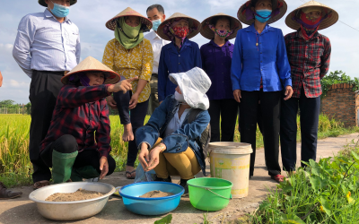 (Hà Nội) Rơm rạ sau thu hoạch: Nắng mưa cũng đều có giải pháp