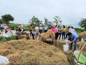 Hình 40. Tập huấn xử lý rơm rạ thành phân hữu cơ tại huyện Sóc Sơn